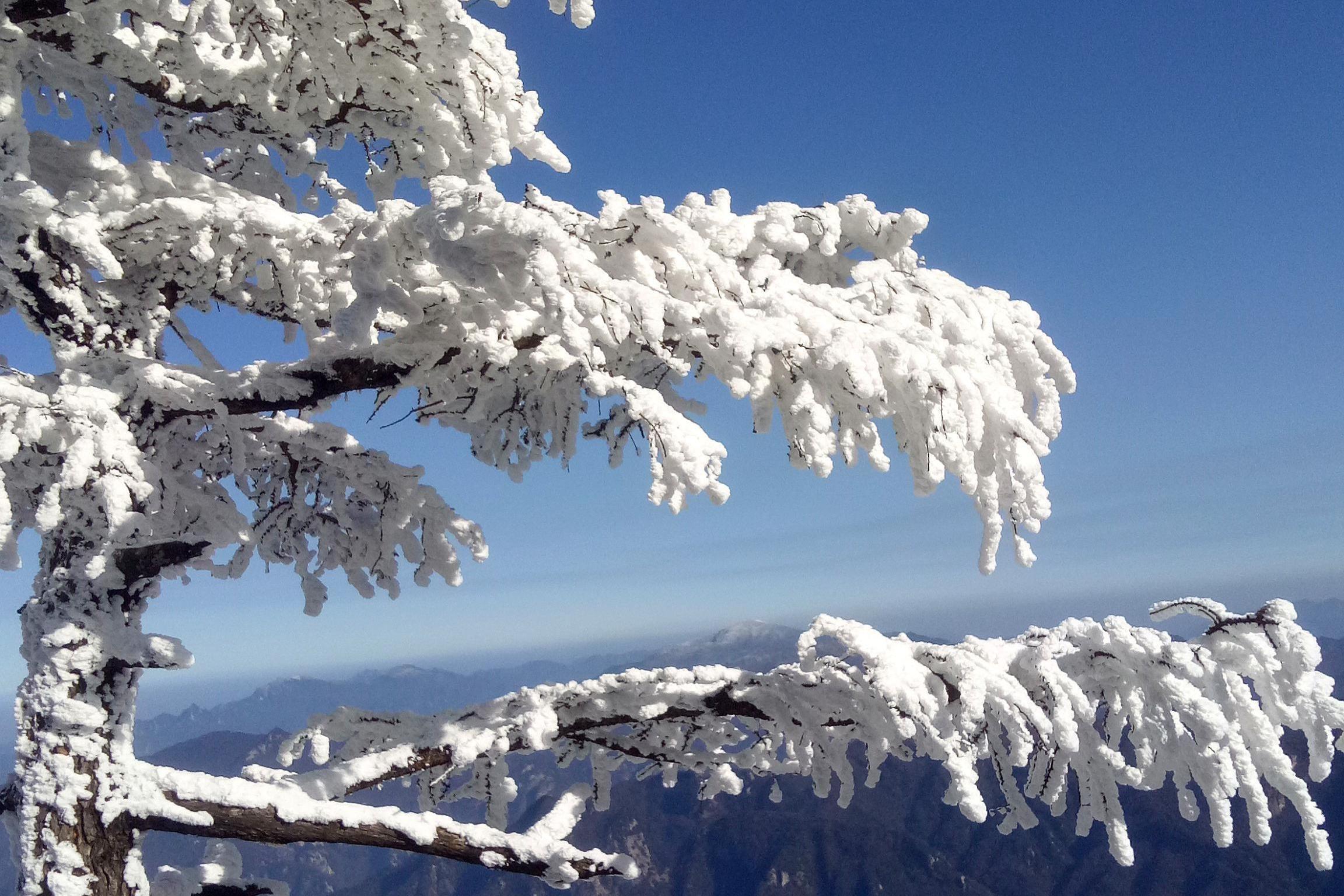 乙巳年台州首雪，落在北部高山区！