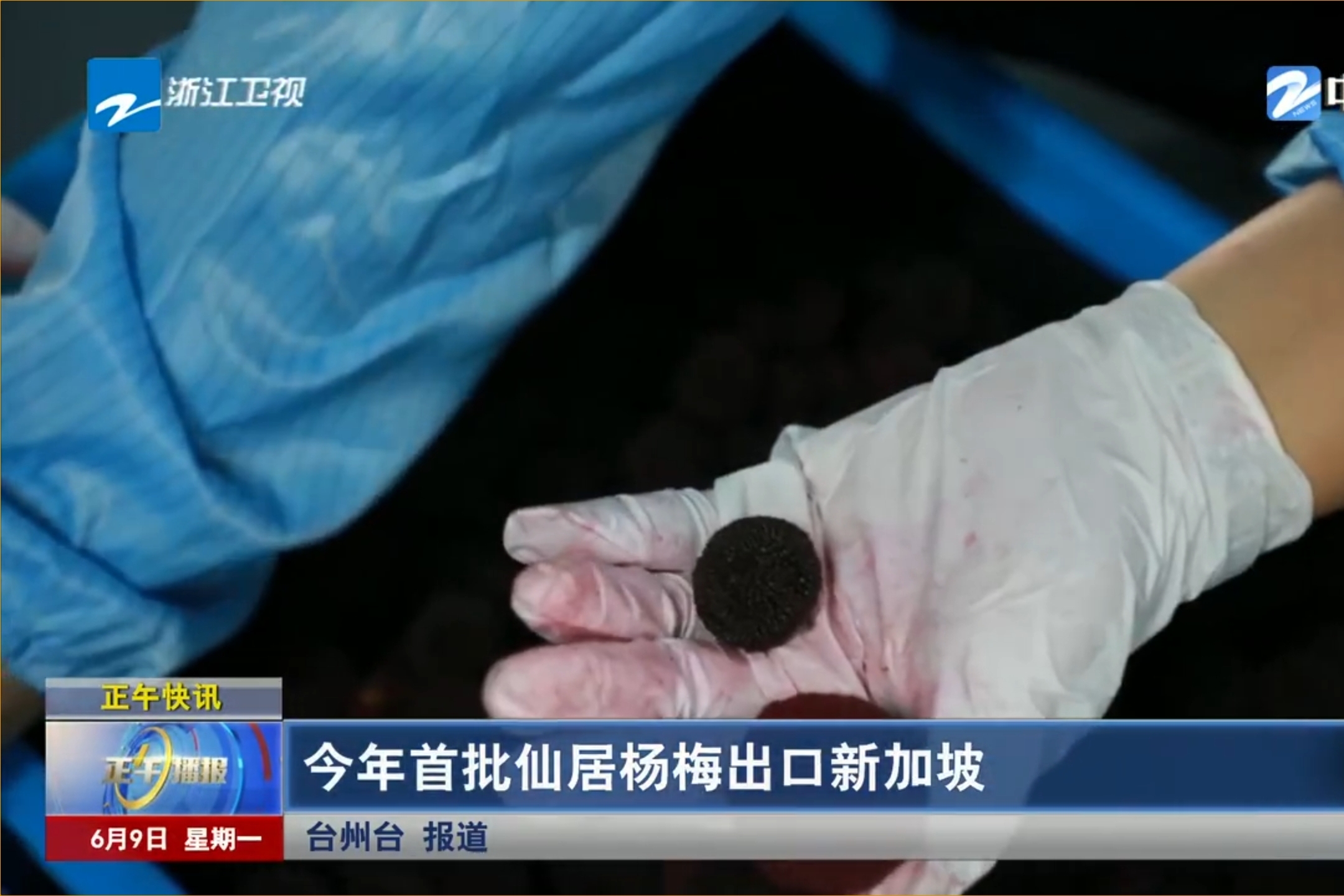 浙江卫视丨今年首批仙居杨梅出口新加坡