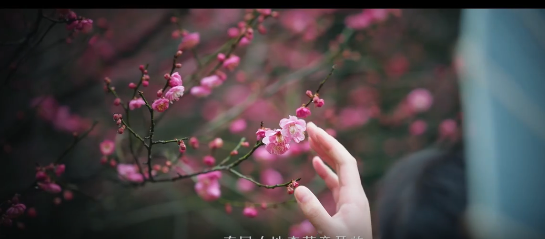 黄岩学子以诗、歌、舞，迎雨水节气