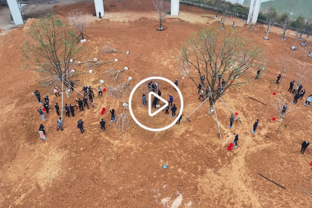 望潮视频丨市领导参加义务植树活动