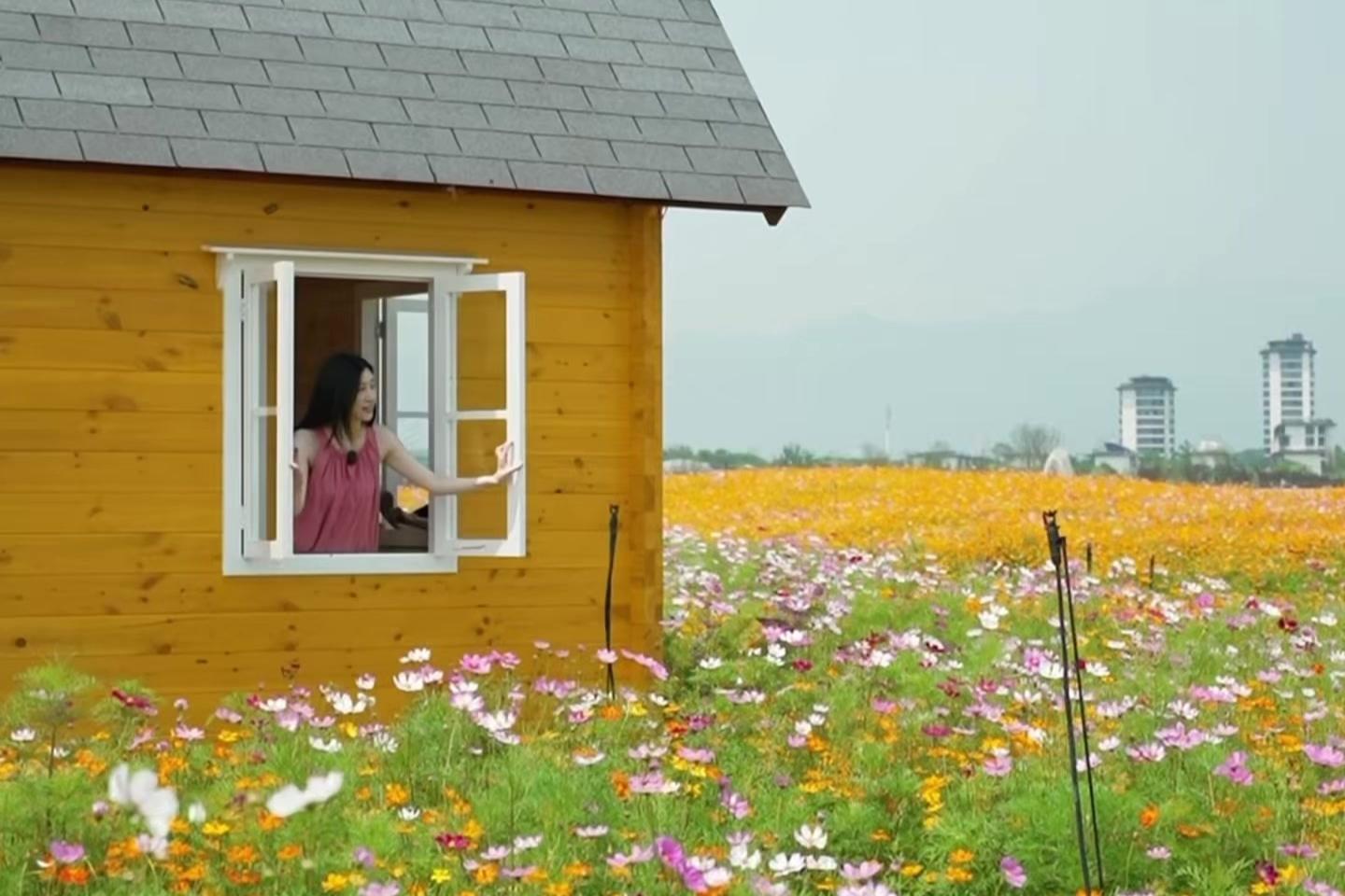 佩弦湖的治愈系美学