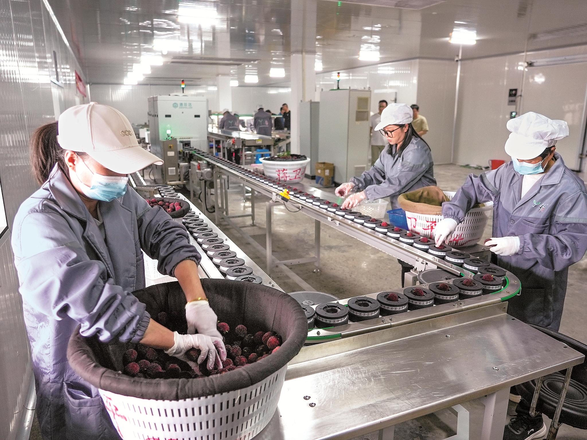 智能分选 优质优价