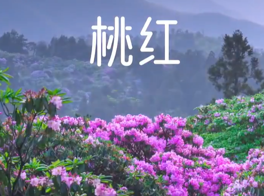 七夕，来台州看青山绿水写就的生态情诗