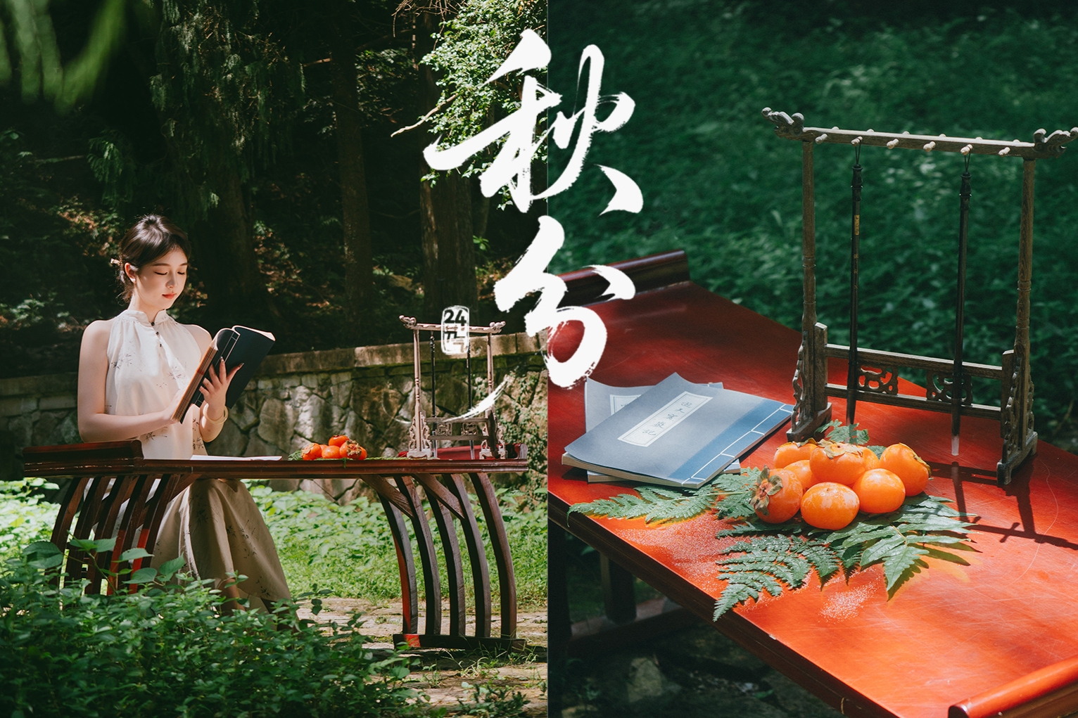 秋分：半是秋色宜人，半是千里婵娟