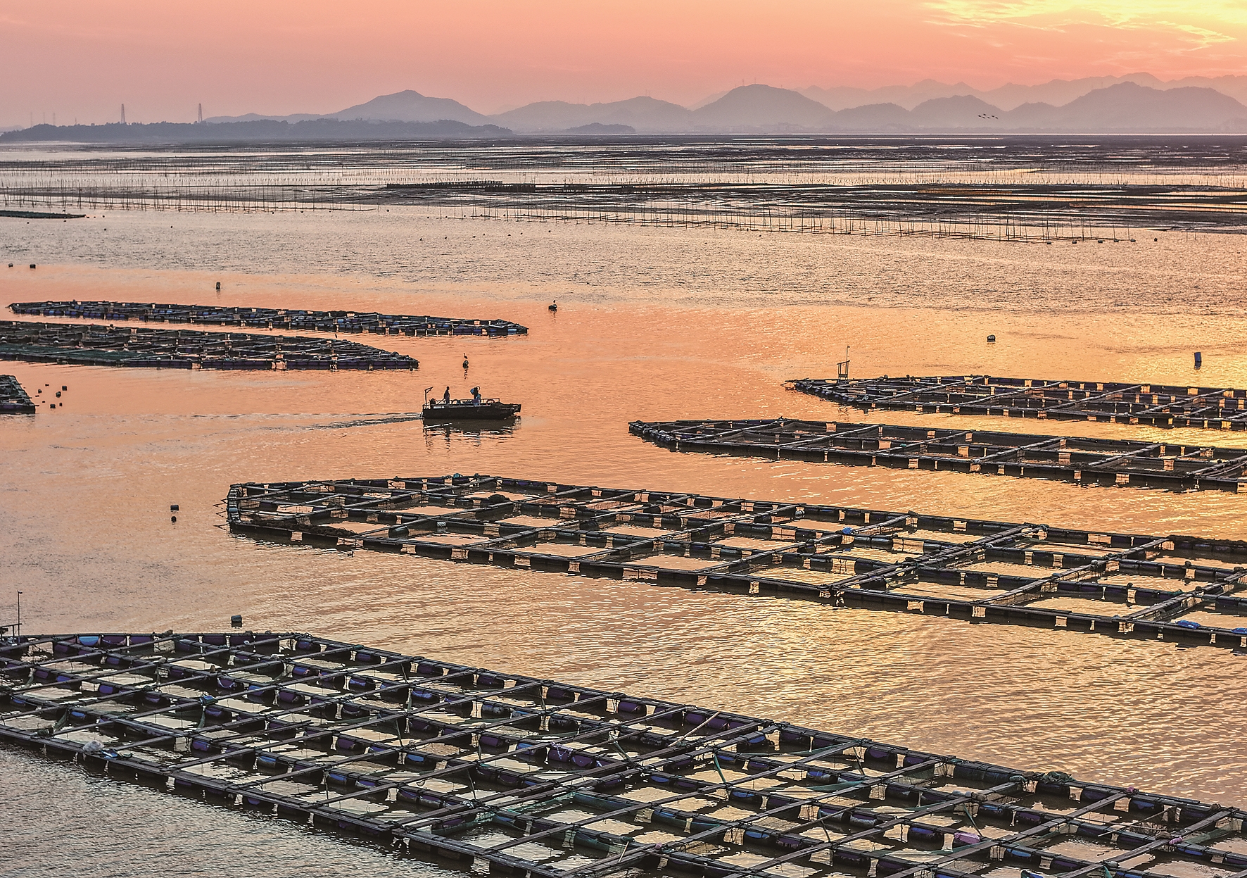 “海上牧场”美如画