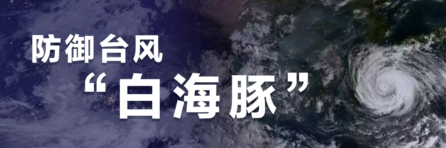 防御台风“白海豚”